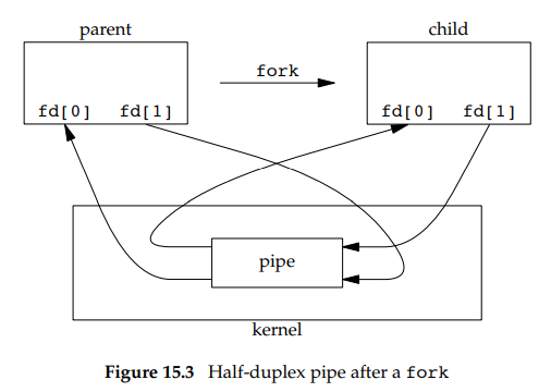 fork后的半双工管道