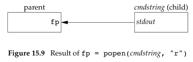 执行fp=popen的“r”的结果