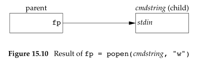 执行fp=popen的“w”的结果